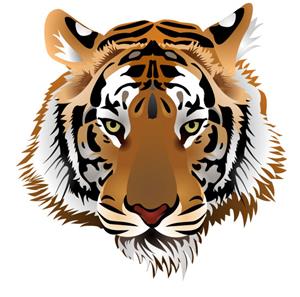 Tigers 